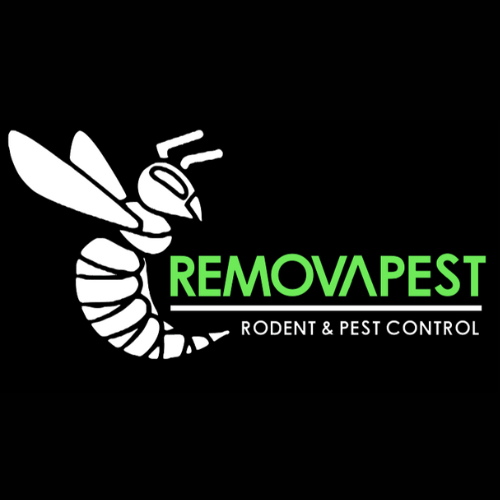 Removapest logo